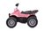 Miniquad super girly - comprar online