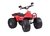 Cuatriciclo RX/601