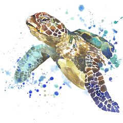 Tartaruga aquarela camiseta ecologica recicle use
