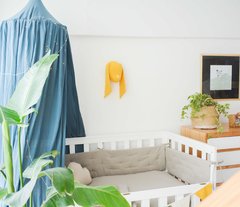CANOPY
