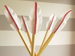 PACK DE PLUMAS en internet
