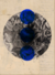 Type Origin 11 - Aus_grec
