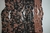 Coral - Luciano Gimenez - comprar online