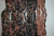Coral - Luciano Gimenez - comprar online