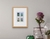 Insecta 7 - Manuel Coll - comprar online