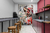 Milan - Aus_grec - comprar online