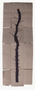 Ramota - De la serie "El sonido de un árbol al caer" - Manu Coll