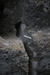 Vaso - Ignacio Fanti