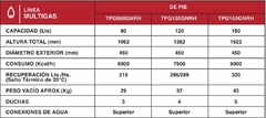Termotanque Rheem a Gas Natural de Pie 120 L Conexión de Agua Supeior - TPG120GNRH - comprar online
