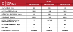 Termotanque Rheem a Gas Natural de Pie 150 L Conexión Superior - TPG150GNRH - comprar online