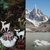 Frutos de la Patagonia - CASA OZ