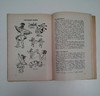 FUN AROUND THE CAMPFIRE BOY SCOUTS OF AMERICA 1952 (INGLÉS) (USADO)