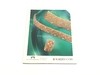 REVISTA GOLD COAST – VOL. 45, Nº3, MARZO 2009 (USADO) - comprar online