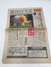 DIARIO NYSEIKATSU NEW YORK Nº 63 16 ABRIL 2005 JAPONÉS (USADO)