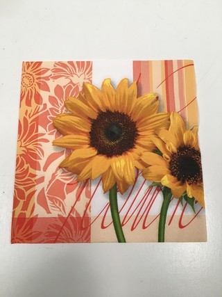 SERVILLETA PAPEL DECOUPAGE 33X33CM PRECIO X UNIDAD (CC2247) (NUEVO)