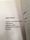 CENIZAS EN LA LUZ, ADRIANA FERRARI (USADO) en internet