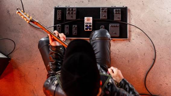 Imagen que contiene interior, tabla, computadora, perro
El contenido generado por IA puede ser incorrecto.