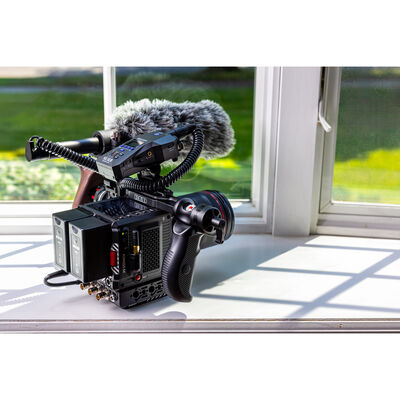 Imagen que contiene exterior, pasto, pequeño, montar a caballo

El contenido generado por IA puede ser incorrecto.