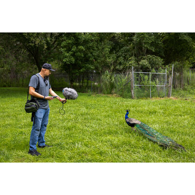 Un par de personas de pie sobre pasto

El contenido generado por IA puede ser incorrecto.