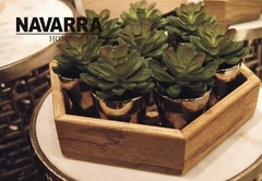 Banner de la categoría MACETAS, PLANTAS Y TERRARIOS