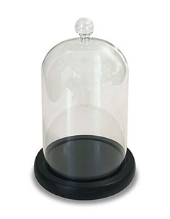 CAMPANA DE VIDRIO CON BASE DE MADERA NEGRA - MEDIDAS Ø 12,5x20 h - DISEÑO MAISON en internet