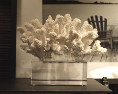 CORAL BLANCO ARTIFICIAL CON BASE DE ACRÍLICO - MEDIDAS 17x20x16 DE ALTO