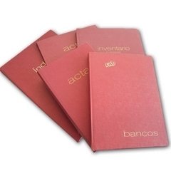 Libro diario RAB t/f 2 col