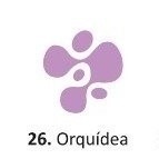 Pintura chalk eterna x 200ml Orquidea