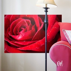 Mural rosa roja 2