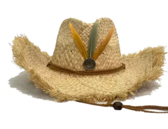 Sombrero Cowboy Indie