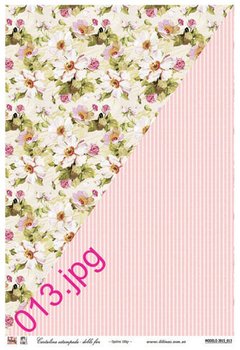 Cartulina estampada doble faz 32 x 47 cm Modelo DF013