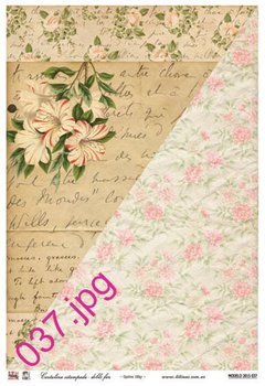 Cartulina estampada doble faz 32 x 47 cm Modelo DF037