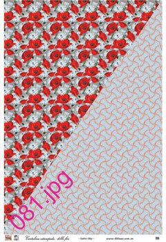 Cartulina estampada doble faz 32 x 47 cm Modelo DF081