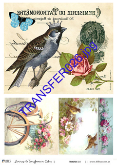 Láminas para transferencia color Modelo LTC 026 - comprar online