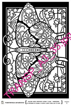 Transparencias autoadhesivas A3 Plus 32 x 47 cm Modelo TA 035 - comprar online