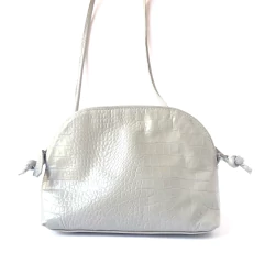 CARTERA ANI