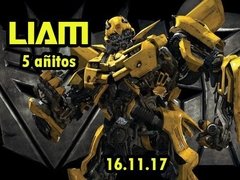 Vaijita Transformers (VAL0018)