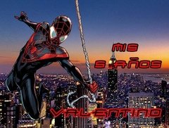 Vaijita Spiderman/hombre araña (VAL0040)