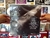 Julian Lennon "The secret value of daydreaming" - comprar online
