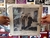 Paul Williams "De cara al viento" - comprar online