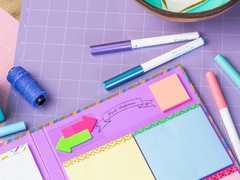 Pink Anderson's Mini Mystery Box - comprar online