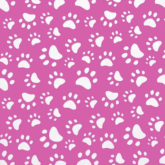 Duo Color con Planificador Mensual - Pink Anderson
