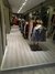 Roble Alaska - tienda online