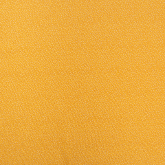 Dulce ... Color mango