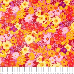 Flores y flores ... Rosa