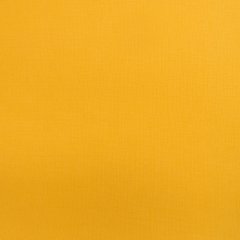 Sólido amarillo maìz