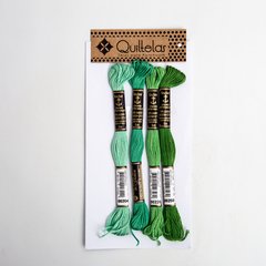 Anchor Hilos Mouliné Pack 204
