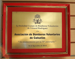 Imagen de Plaquetas & vitrinas