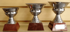 Trofeos en internet
