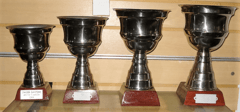 Trofeos - Cueros del Sur